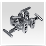 A-M5B MANIFOLD INTEGRAL (5 VALVULAS) PARA TRANSMISOR DE PRESION DIFERENCIAL